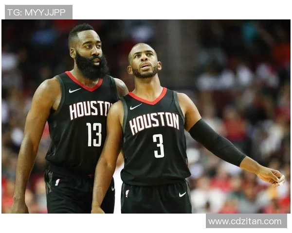 2013-14赛季火箭队与篮网队精彩对决回顾与分析