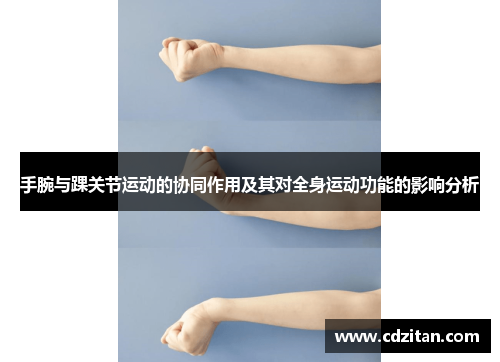 手腕与踝关节运动的协同作用及其对全身运动功能的影响分析