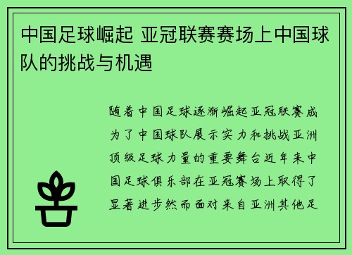 中国足球崛起 亚冠联赛赛场上中国球队的挑战与机遇