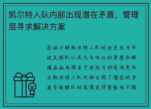 凯尔特人队内部出现潜在矛盾，管理层寻求解决方案